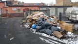 Sterty śmieci przy ul. Parkowej w Żarach. Kto za to odpowiada? [ZDJĘCIA]