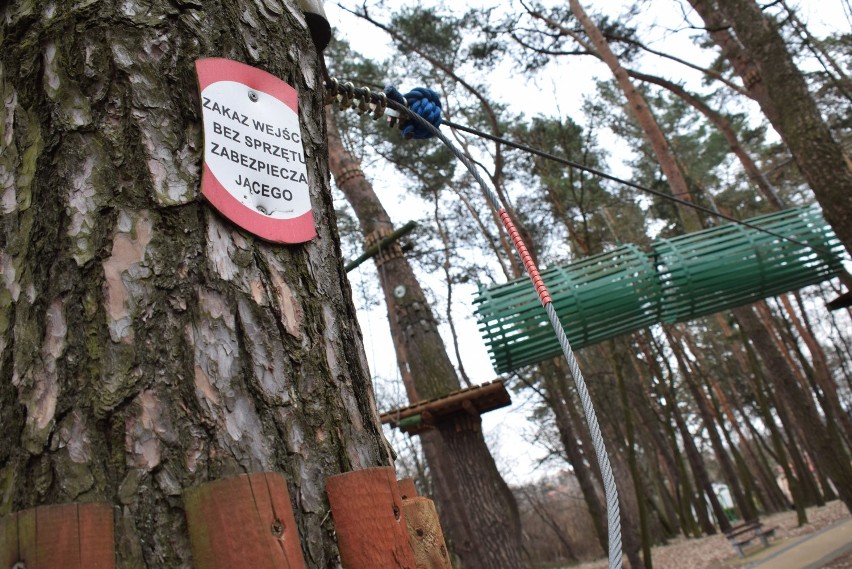 Władze Krosna modernizują Park Miejski na Zawodziu. Park linowy ma być przygotowany do otwarcia, alejki wyremontowane [ZDJĘCIA]