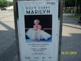 Wrocławska wystawa: pt."Dzień Dobry Marilyn".