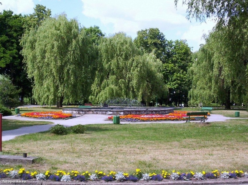 Fontanna w Parku Miejskim im. Małachowskich