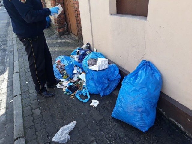 Strażnicy miejscy znaleźli na chodniku kilkanaście worków ze śmieciami