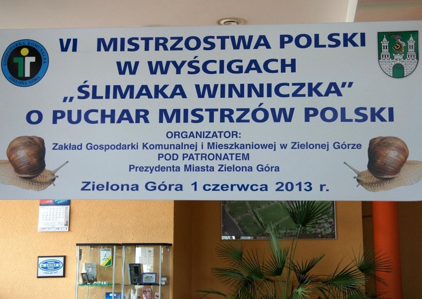 VI Mistrzostwa Polski "Ślimaka Winniczka"o Puchar Mistrzów Polski
