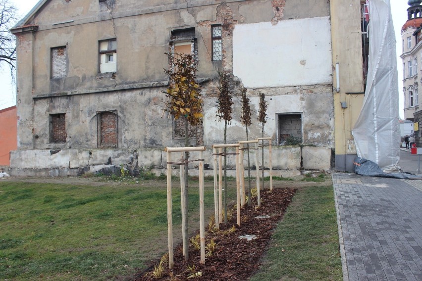 Parking po Tarmilo w Tarnowskich Górach się zazieleni. Są...