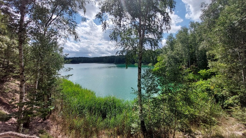 Święto Geoparku Łuk Mużakowa, który został wpisany na listę...