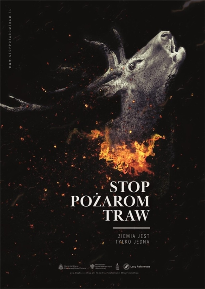 Stop pożarom traw. Najmocniejsze plakaty kampanii