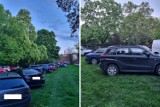 Kraków. Park Strzelecki zamienił się w parking. Mieszkanka nie kryje oburzenia i punktuje Bractwo Kurkowe