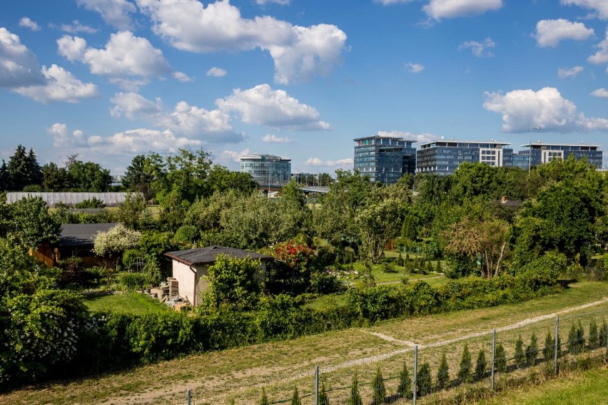 Eco-miasto to odbywający się już po raz szósty ogólnopolski...