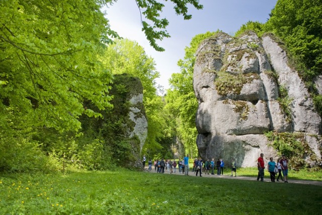 Ojcowski Park Narodowy to jedna z atrakcji, które najbardziej podobały się odwiedzającym w Małopolsce w 2021 r. Wskazywali również Energylandię, Kraków, szlaki górskie czy baseny geotermalne.