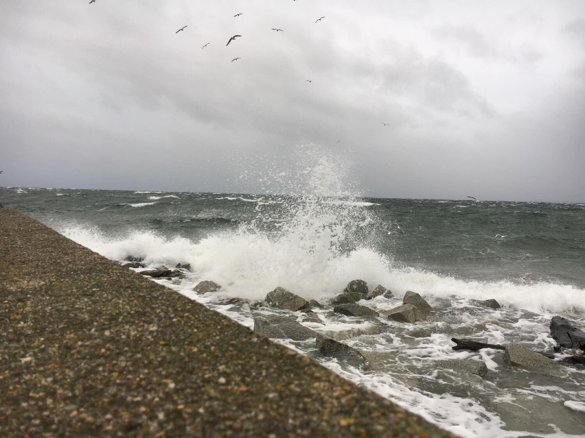 Grudniowy sztorm w powiecie puckim. Silny wiatr rozkołysał Zatokę Pucką i Bałtyk. Jeszcze dziś może wiać nawet 110 km/h | ZDJĘCIA, WIDEO