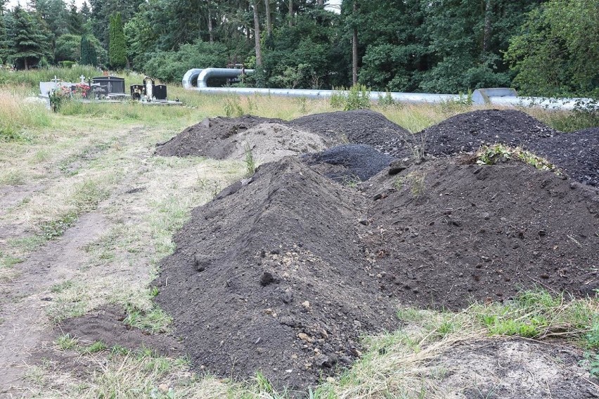 Groby na Cmentarzu Centralnym w wysokiej trawie i obok hałdy asfaltu