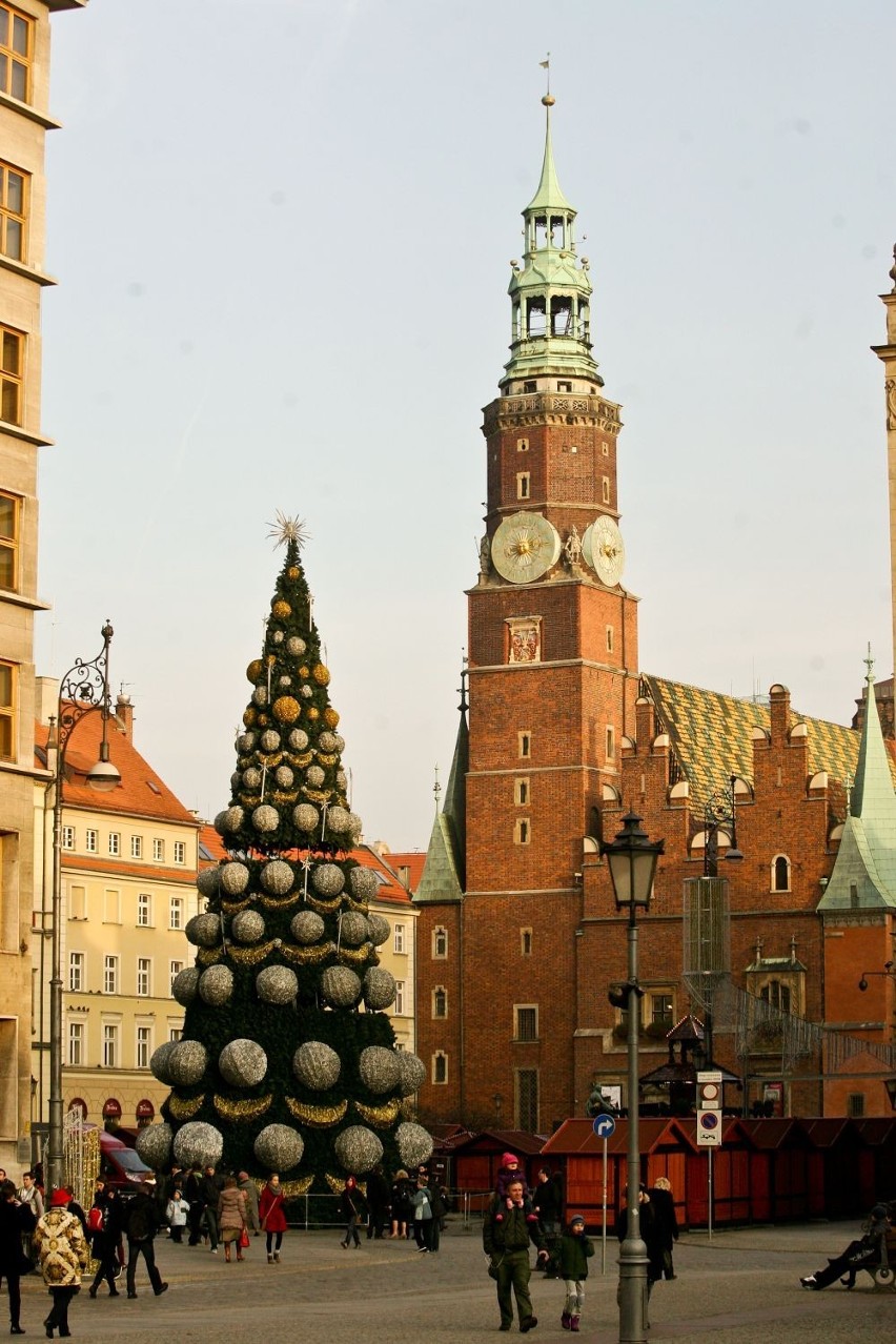 Wrocław: Na Rynku choinka już stoi. Rozbłyśnie 6 grudnia (ZDJĘCIA)