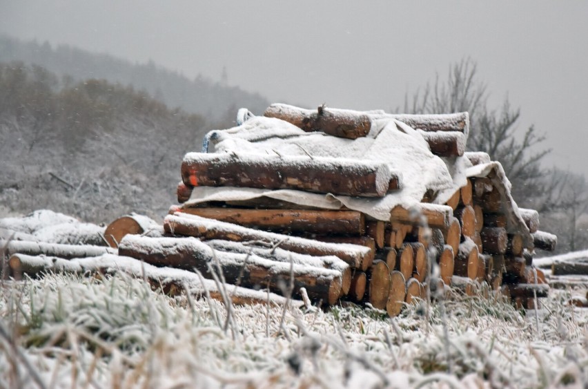 Spadł śnieg. Na drogach i chodnikach jest slisko