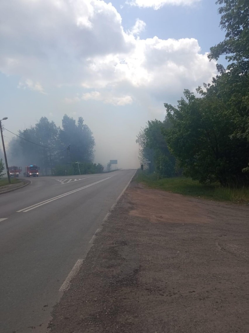 Pożar lasu obok Miasteczka Śląskiego - ZDJĘCIA! Płonęło ponad 40 hektarów! W akcji pożarniczej uczestniczyło 50 zastępów straży i śmigłowce