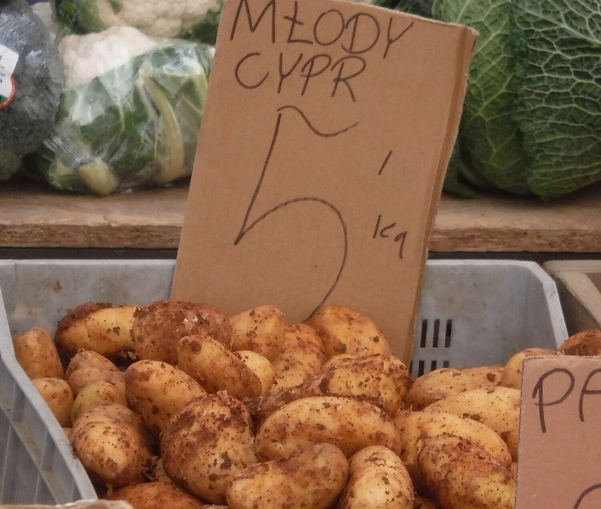 Młode ziemniaki kosztowały 5 złotych za kilogram