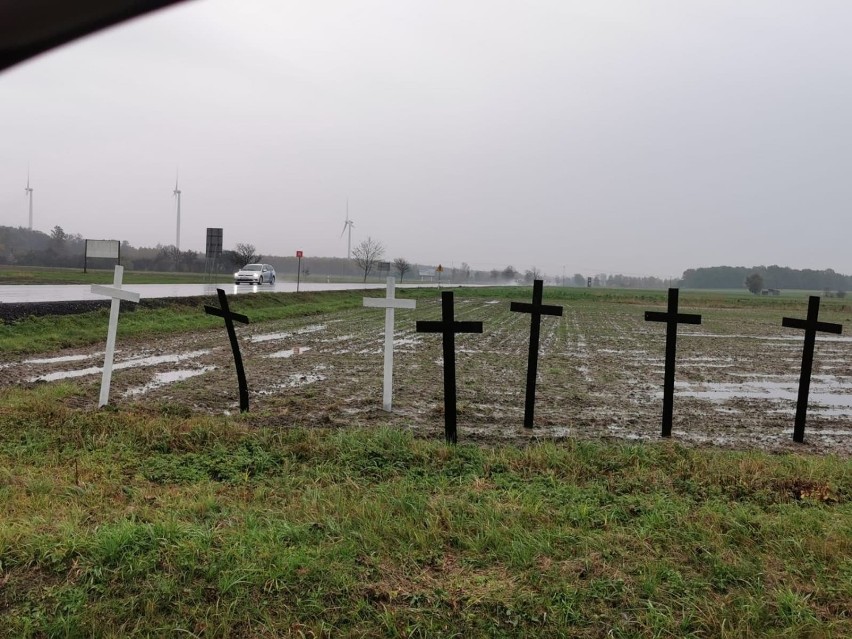 Kilkadziesiąt krzyży stanęło przy skrzyżowaniu w gminie Rusiec. Po co je ustawiono?