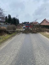 Pogoda daje się we znaki. Wiatr powalił drzewo na drogę w Dobczycach 