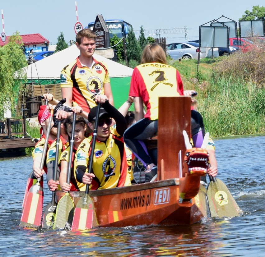 Wyścigi smoczych łodzi w Malborku [ZDJĘCIA, FILM]. Rywalizacja na Nogacie w zamkowej scenerii
