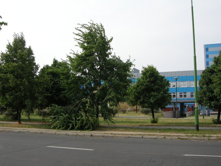 Połamane drzewa w okolicy szpitala.