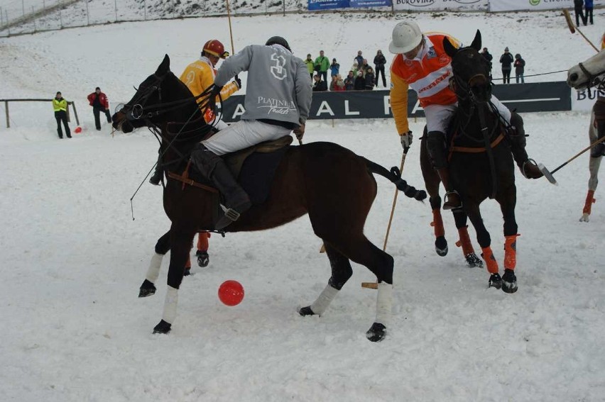 Bukowina Tatrzańska: Zawodnicy z całego świata grali w polo na śniegu [GALERIA]