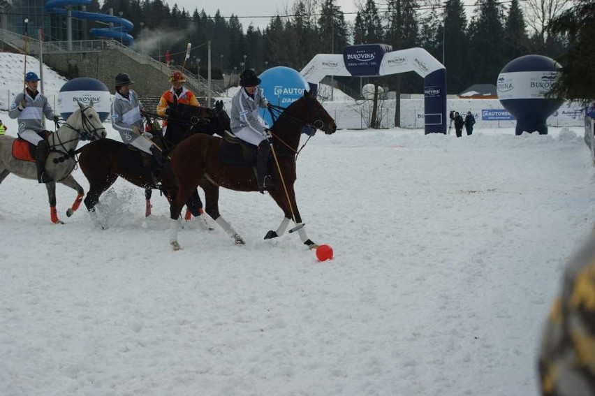 Bukowina Tatrzańska: Zawodnicy z całego świata grali w polo na śniegu [GALERIA]