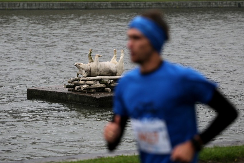 3. PZU Cracovia Półmaraton Królewski za nami. Znajdź się na zdjęciach