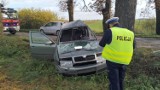 Mama i syn ucierpieli w wypadku w gminie Dzierzgoń