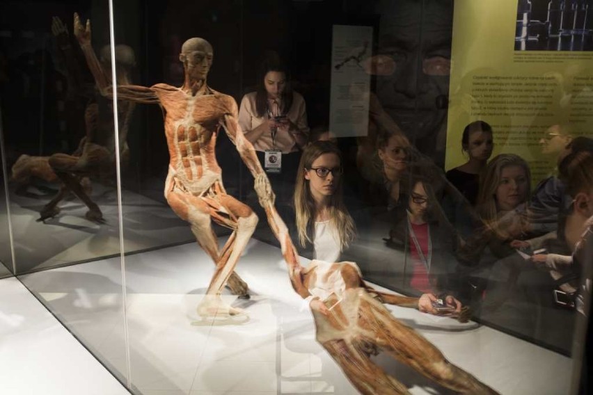 Body Worlds w Krakowie. Kontrowersyjna wystawa została otwarta w Bonarka City Center [ZDJĘCIA]