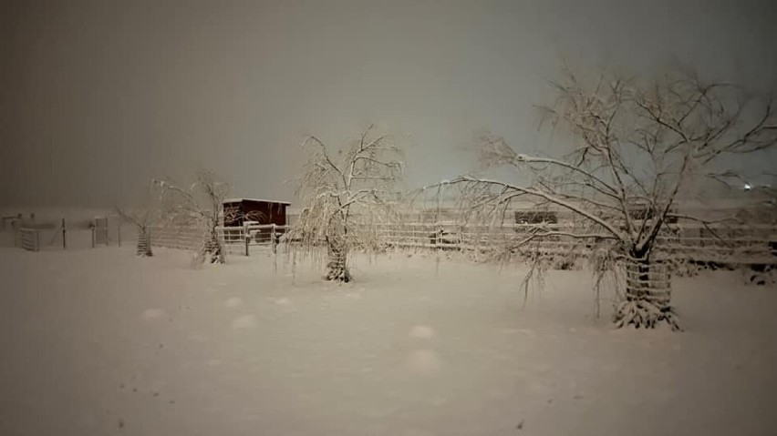 Pierwszy śnieg we Wrocławiu