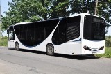 Nowoczesny autobus wyprodukowany przez firmę AMZ Kutno jeździ już po Płocku [ZDJĘCIA]