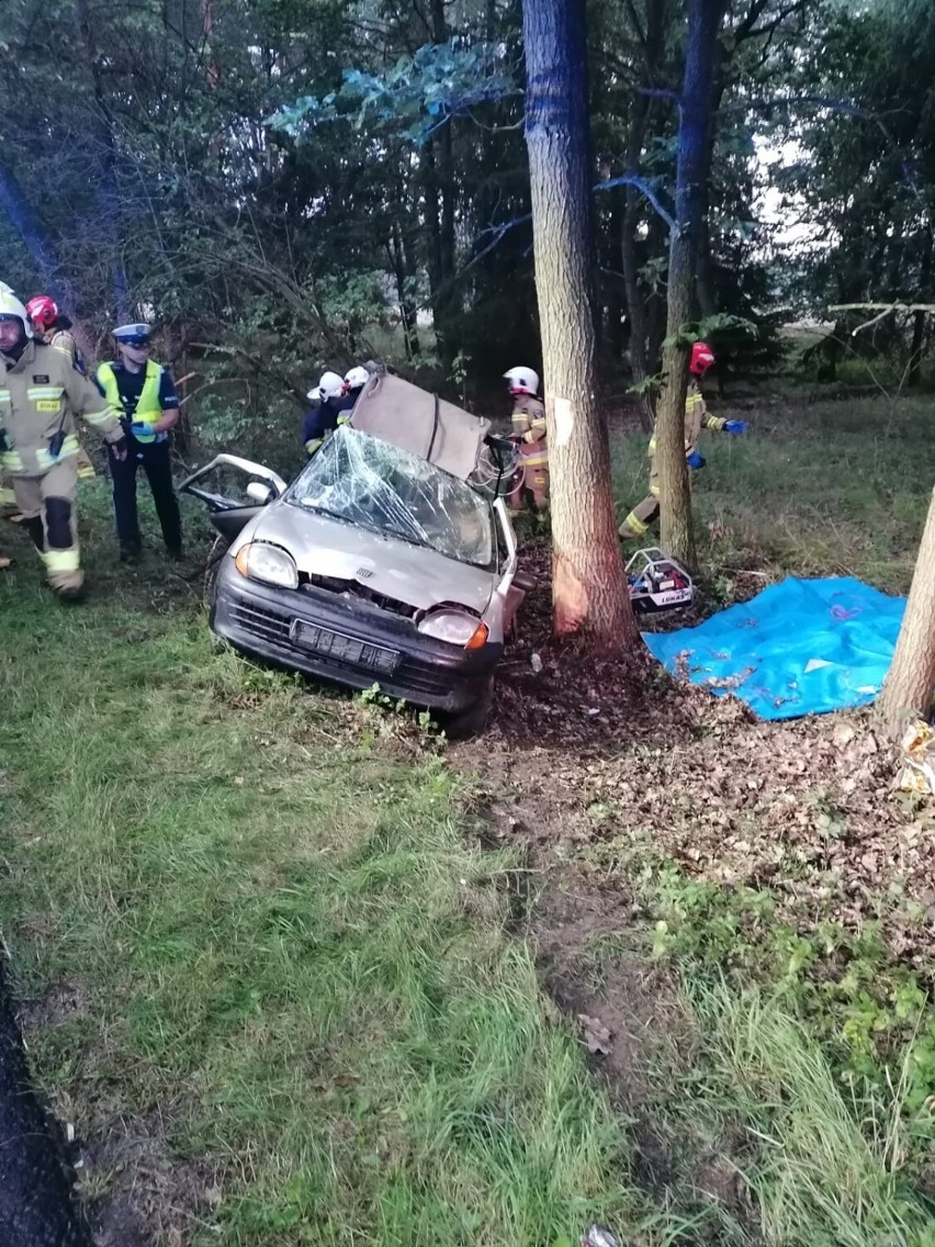 Samochód uderzył w drzewo. Kierowca nie żyje, nie miał prawa jazdy