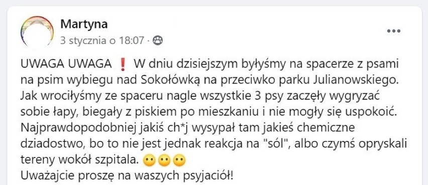 O sprawę piekących psich łap najpierw zapytaliśmy Straż...