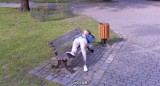 Zdjęcia z kamer Google z woj. śląskiego i nie tylko! Zasnęła na ławca a obok dziecko w wózku, pił piwo... 