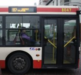 ZTM uruchamia nowy przystanek autobusowy przy cmentarzu oliwskim