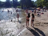 Wrocław. Woda na kąpielisku przy ul. Harcerskiej została zatruta specjalnie