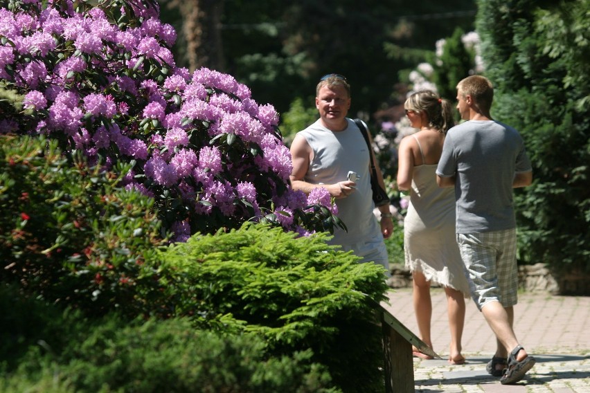 Ogród Botaniczny w Powsinie warto odwiedzić niezależnie od...