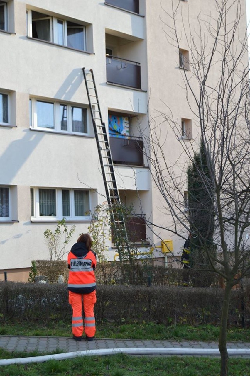 Pożar w Jastrzębiu: garnek zostawiony na kuchence