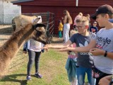 Dzieci z Kłosowa i Tokar odwiedziły strusią farmę w Kniewie