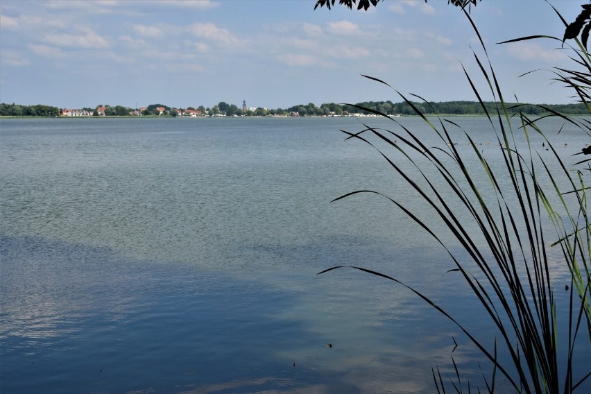 Nądnia gmina Zbąszyń. Wieś nad jeziorem Błędno. Tutaj...