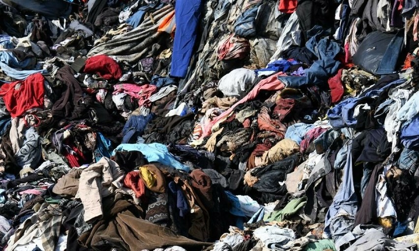 Apel Serca Torunia: "Nie jesteśmy wysypiskiem śmieci!" Wstyd, co przywożą niektórzy ludzie: brudne i spleśniałe rzeczy