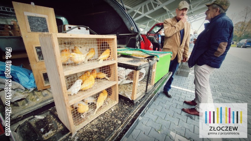 Targowisko miejskie w Złoczewie tętni życiem. Dzień handlowy i kolejna giełda egzotyki ZDJĘCIA