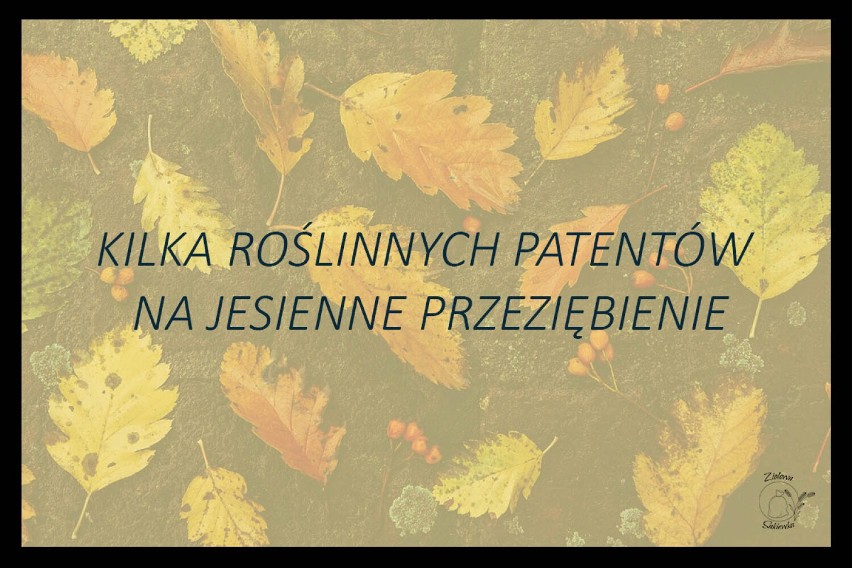 Medycyna naturalna – czyli domowe sposoby na jesienne przeziębienie