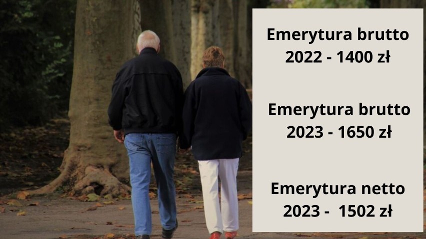 Nowe emerytury dla seniorów od marca 2023. Oto stawki świadczeń brutto i netto po waloryzacji [1.02.23 r.]
