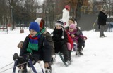 Ferie zimowe w Legnicy. Jakie atrakcje czekają na dzieci? [PROGRAM]