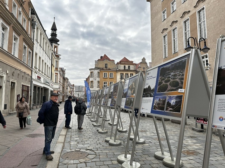 Na rynku w Opolu można zobaczyć wystawę fotografii,...