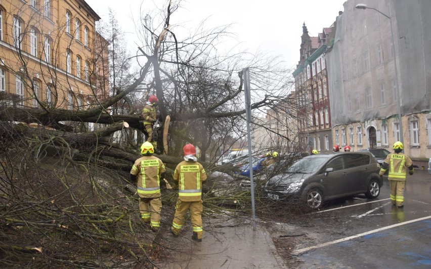 Wichura w Stargardzie. Przy szkole drzewo spadło na samochody 