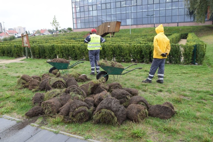 Winne Wzgórze z Palmiarnią to wizytówka Zielonej Góry