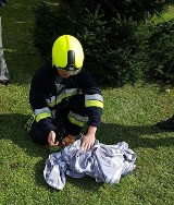 Gmina Nieborów. Pies tonął w studni z pomocą przyszedł grzybiarz i straż pożarna