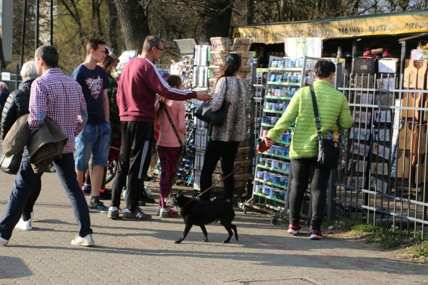 Spacer po ulicach Ciechocinka w Poniedziałek Wielkanocny.