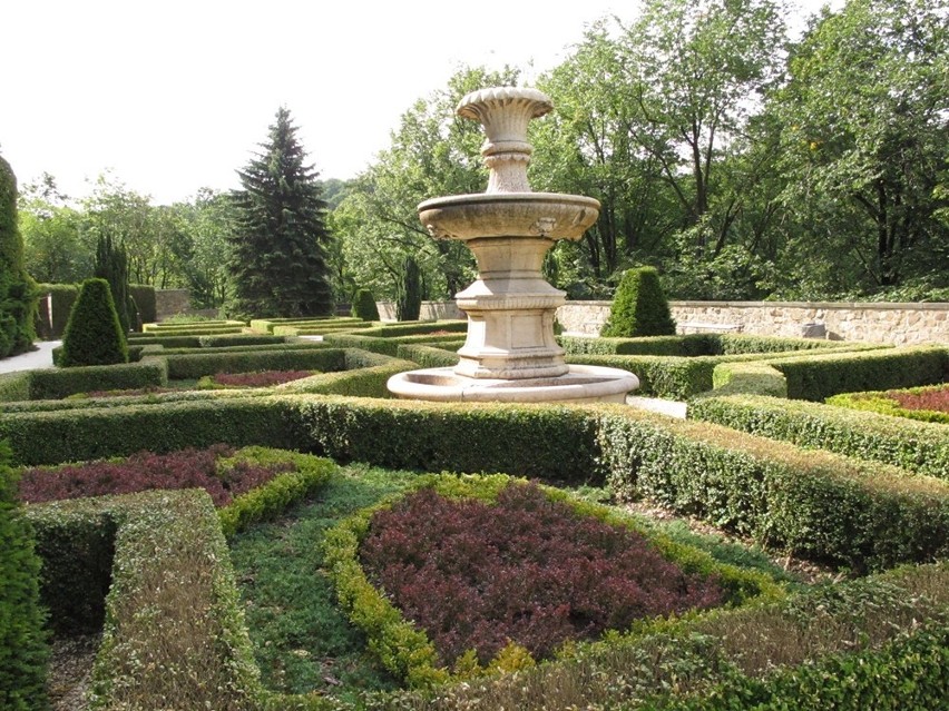 Botaniczna wycieczka przez ogrody i tarasy zamku Książ (ZDJĘCIA)