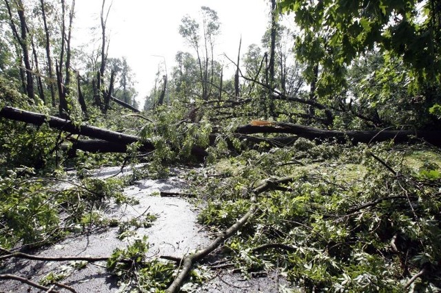 Skutki huraganu jaki nawiedził Legnicę w roku 2009